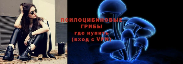 винт Армянск