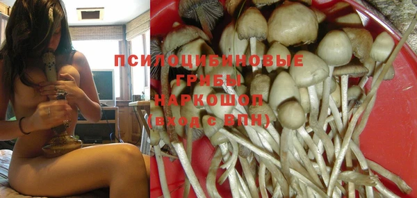 винт Армянск